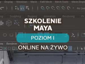 Maya – poziom I - podstawowy- online