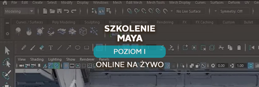 Maya – poziom I - podstawowy- online